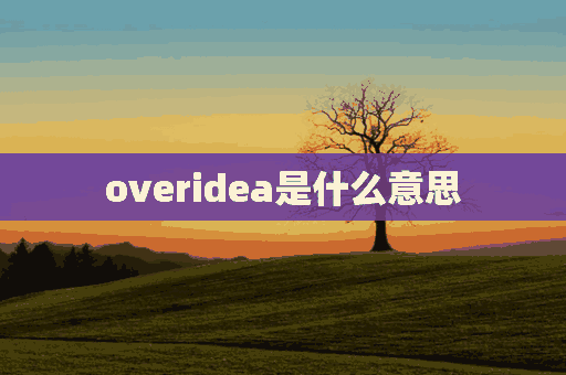 overidea是什么意思